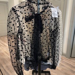 Sheer Polka Dot Blouse